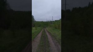 Можно ли оставить лес на землях сельхозназначения. Из личного опыта.