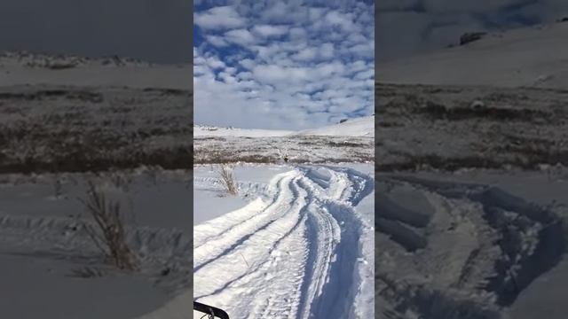 Снегоход ski-doo!  Горный Казахстан  !