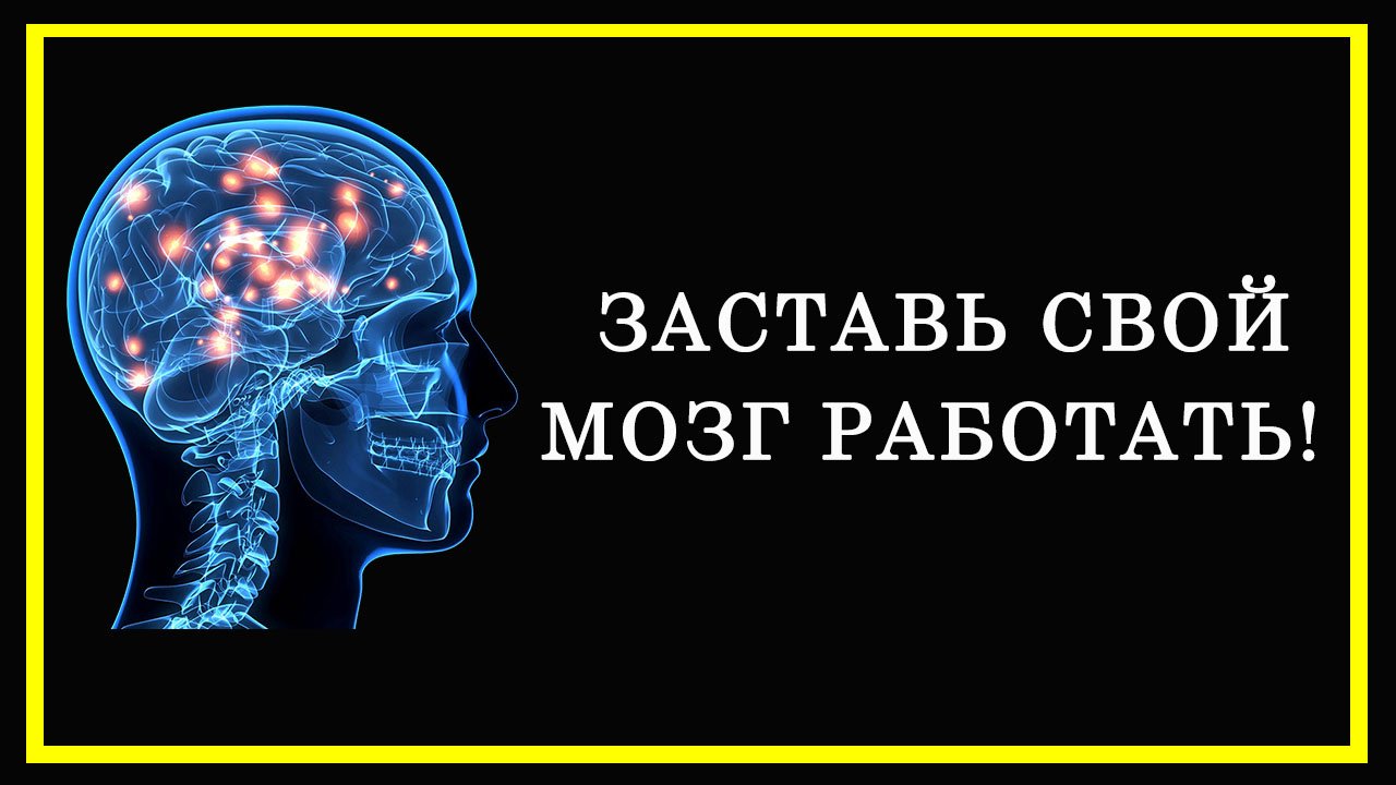 Как заставить мозг работать на 100