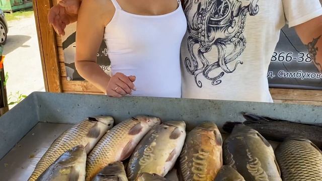 Рассказ о прошедшей рыбалке! Общий водоём смотреть онлайн