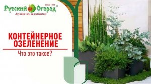 Контейнерное озеленение - что это и какие его преимущества.