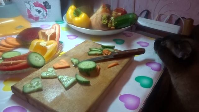 ДЕНЬ СВЯТОГО ВАЛЕНТИНА Подарки на День святого Валентина ДОМАШНИЕ ДЕКОРАТИВНЫЕ КРЫСЫ ВИДЕО@A4a4a4a4 смотреть онлайн