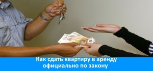 Как сдать квартиру в аренду правильно и официально ?