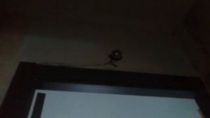 Тёмная фаза.