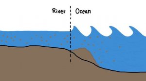 Почему у рек есть дельты
