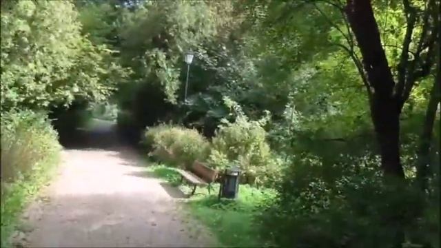 Неожиданная история любви Сказки осеннего парка №8 An unexpected love story Tales of the autumn par смотреть онлайн