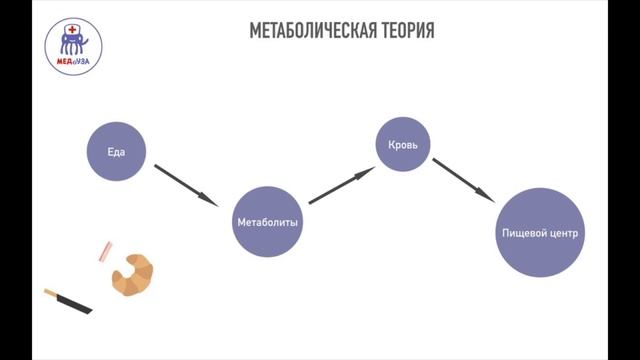 Механизм голода и насыщения