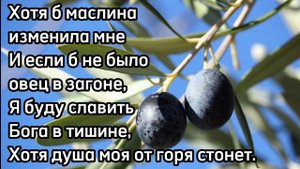 "ХРИСТИАНСКИЙ СТИХ" Е.Н. Пушков „Молитва Аввакума” "Стихотворение со смыслом" Хороший стих |старец