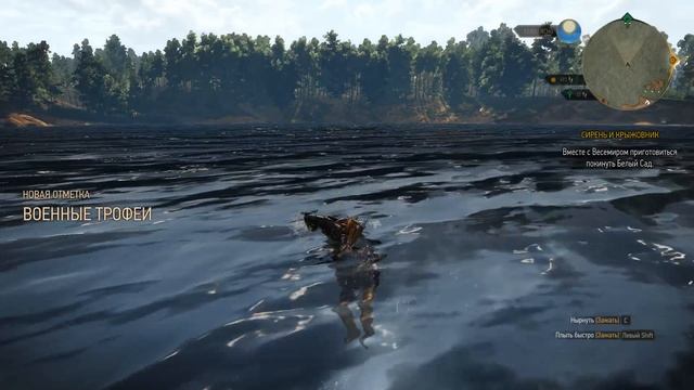 The Witcher 3: Wild Hunt Прохождение Белый Сад Все скрытые места Часть 1 смотреть онлайн