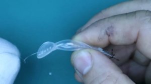 Мало кто знает,что хороший воблер можно сделать почти из любой ручки. Микровоблер НАЕЗДНИК-3