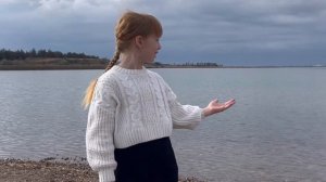 Стихотворение «Родина» (Я узнал, что у меня есть огромная семья…)