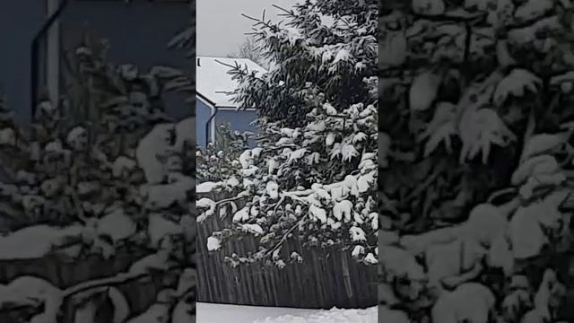 А просто зима. смотреть онлайн