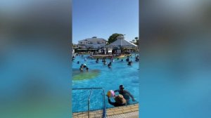 Dreams Vacation Resort 4* Шарм Эль Шейх