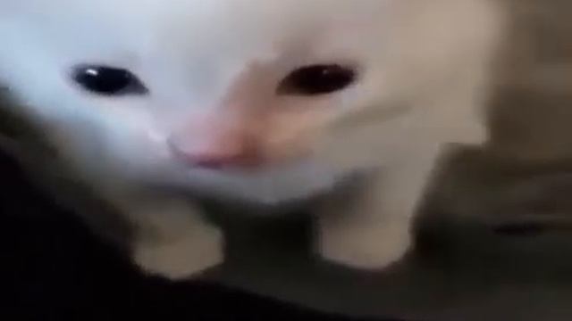 Hi herbert but herbert explodes смотреть онлайн