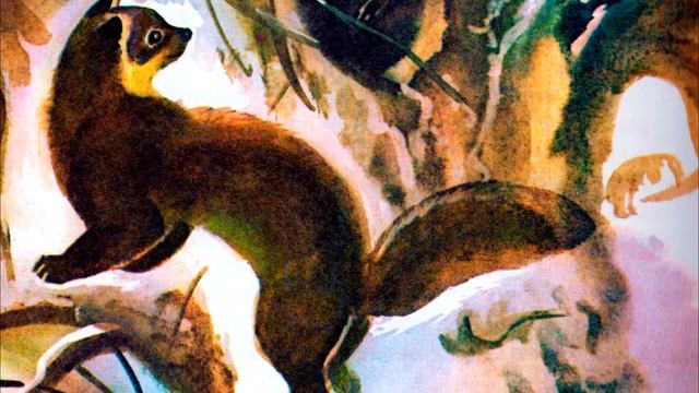 В. Бианки сказка "Теремок"
