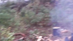 Атака на тайгу.mp4