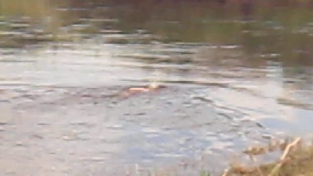 весеннее закаливание смотреть онлайн