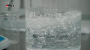 ЛУК БУДЕТ ОГРОМНЫМ НА ЗАВИСТЬ ВСЕМ СОСЕДЯМ! Замочите в этом средстве лук севок перед посадкой!