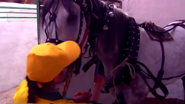 Конные заводы Конный завод «Роща» Часть 2 смотреть онлайн