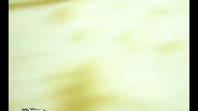 Линия производства лаваша смотреть онлайн