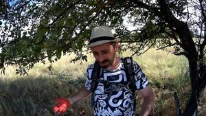 Пруды под станицей Мартанской. Рыбалка и металлопоиск