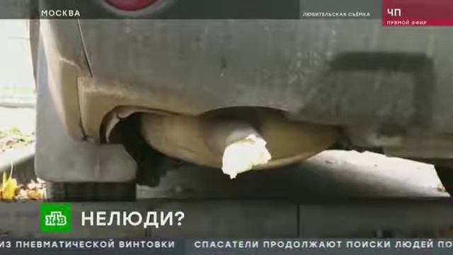 Коллекторы довели пожилую женщину до смерти смотреть онлайн