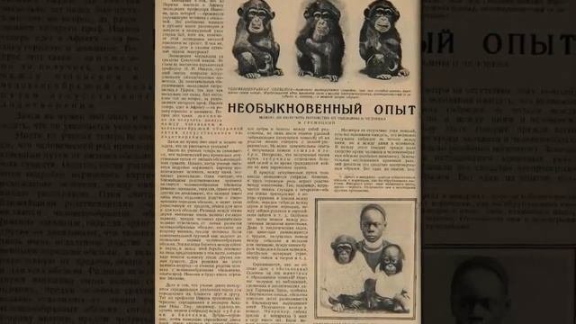 Гориллу скрестили с женщиной: такого финала не ожидали