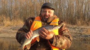 Рыбалка и отдых на реке Чулым.