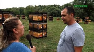 Промышленная пасека семьи Варибрус из Тбилисского района