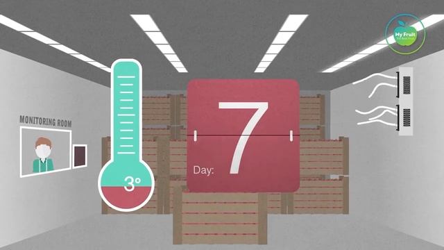 MyFruitDynamics RUS смотреть онлайн