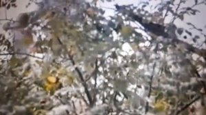 Кто хочет- Тот добьется/ Кто ищет- Тот всегда найдет