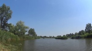 Сазан тянет удочку а донка улетает с подставкой. Рыбалка на сазана. Ловля сазана на донку и поплаво