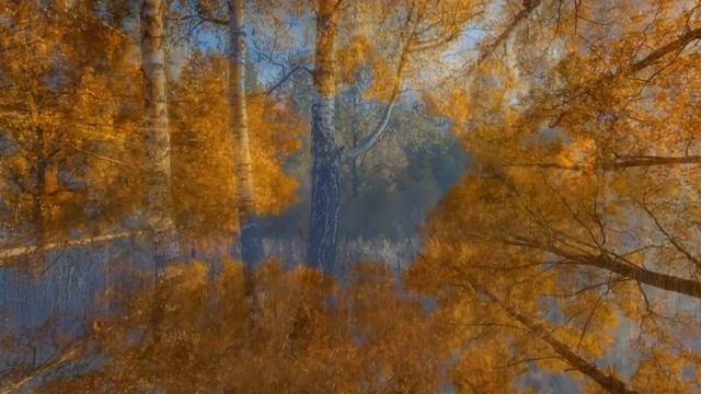 Осенний вальс. смотреть онлайн