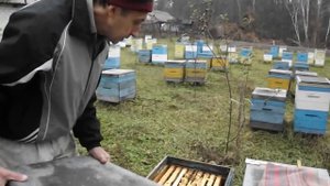 МалыхинВ.Е.- Многоматочная зимовка Часть 2.