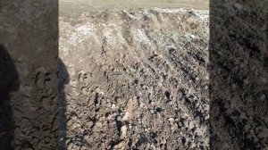 Отзыв о плуге виракс 2-25