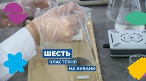 ролик ПРОФЕССИОНАЛИТЕТ 2024