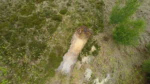 Тайны подземного мира (Секреты подземной жизни)(1)2015