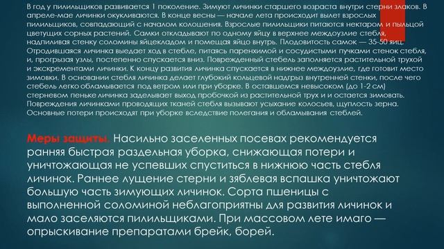 Вредители зерновых злаковых культур и агроэкологическая система защиты от них