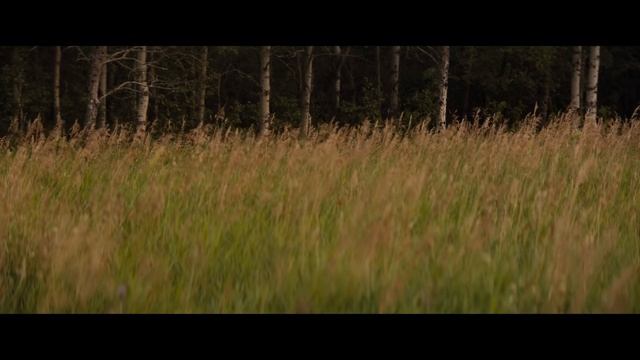 Добыча 2 |2024| Смотреть Онлайн |(Английский язык, 4K ULTRA HD) Трейлер, Фильм, Кино