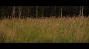 Добыча 2 |2024| Смотреть Онлайн |(Английский язык, 4K ULTRA HD) Трейлер, Фильм, Кино