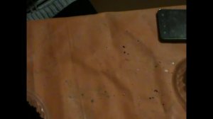 Рассада клубники из замороженных ягод