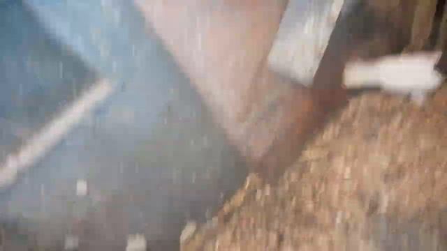 Иранские бойные голуби//Головатые//Уборка и обход//27 февраля 2023 год