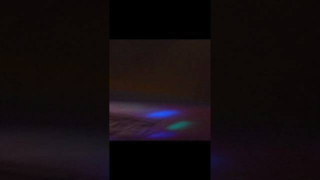 месноной натюмор
