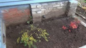 КУПИЛИ СТАРУЮ ДАЧУ  ИТОГИ ПЕРВОГО ГОДА