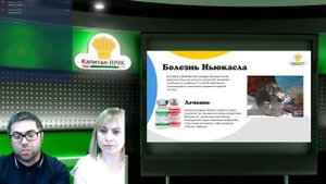 Вебинар "Голуби. Орнитолог и Голубиный камень - основа здоровой птицы"Секреты разведения голубей!