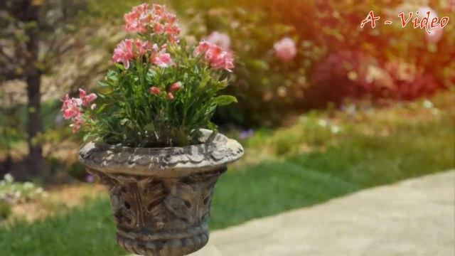 80 Удивительных идей для украшения садового участка / Ideas for a beautiful garden / A - Video смотреть онлайн
