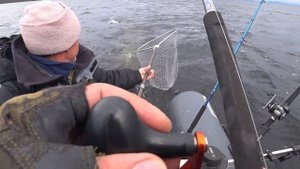 Рыбалка в КАРЕЛИИ на ПЯОЗЕРЕ!!! Красавица КУМЖА!