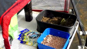 Где водятся Кракены? Лещ на Рыбинском водохранилище