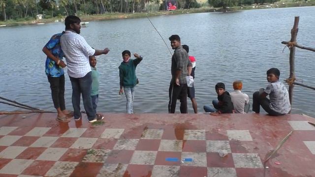 Твори добро! Пусть маленькое! Кормлю милейших индийских животных бананами. Индия 2020 смотреть онлайн