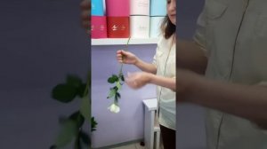 Как легко раскрыть розу?